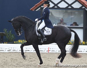 Finnish Mikaela Lindh on the Danish bred Skovlunds Mas Guapo (by Master x Cannon Row xx)