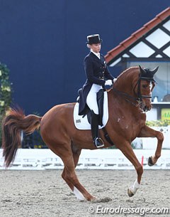 Fabienne Lutkemeier on her second Grand Prix horse Qui Vincit Dynamis (by Quattro B x Calypso II)