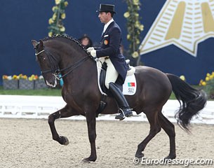 Portuguese Nuno Palma e Santos on the Lusitano stallion Sal