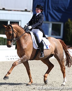 French young rider Alix van den Berghe on Romeo (by Rohdiamant x Freiherr)