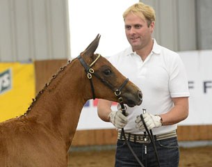 Darren Mattie with filly high scorer Desire (by Dimaggio x Fidertanz) :: Photo © Kevin Sparrow