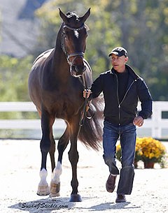 Steffen Peters trotting up Legolas at the vet inspection for the 2013 U.S. Dressage Championships in Lexington, U.S.A. :: Photo © Sue Stickle