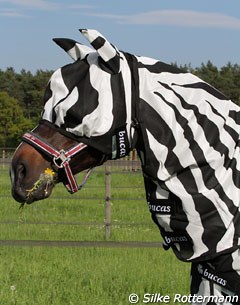 Loverboy enjoying a snack