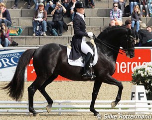 Terhi Stegars on her plump Trakehner stallion Axis