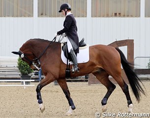 Margo Timmermans and Utah (by Metall) in the warm up