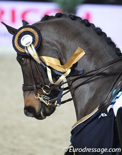 Deja with a Mechelen show ribbon