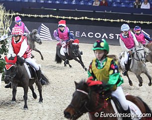 shetland race at the 2013 CDI Mechelen