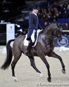 A hair dresser by day, an international dressage rider by night: Belgian Mario van Orshaegen on his home schooled Wilco V (by Rousseau)