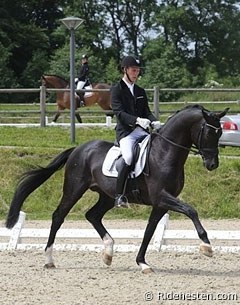 Daniel Bachmann Andersen on the 6-year old Mollegardens Pas Partout at the selection trial in Middelfart :: Photo © Ridehesten.com