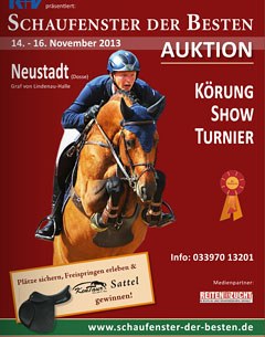 The 2013 South German Stallion Licensing in Neustadt/Dosse