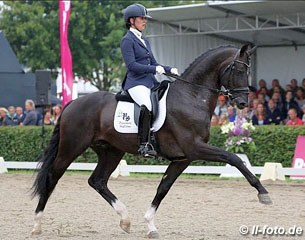 Lotte Jansen on Dark President at the 2013 Pavo Cup Finals :: Photo © LL-foto