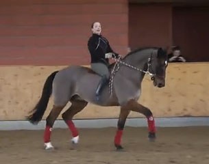 Isabell Werth riding the 19-year old retired Satchmo in a halter at home