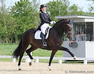 Cathrine Dufour and Orthilia at the 2013 Danish Young Riders Championships :: Photo © Ridehesten