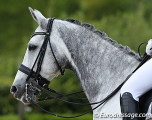 Theodoor (by Metall x Purioso)