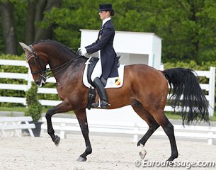 Delphine Meiresonne on the home trained Belgian warmblood Wipsy van het Heihof (by Flemmingh x Saigon x Wendekreis)