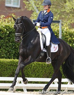 Dana van Lierop on the Oldenburg licensed stallion Sting (by Sunny Boy x Rosier)