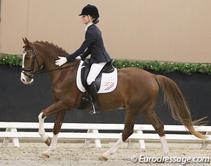 Ilse Vergouwen pats her Denver van Stal Romano