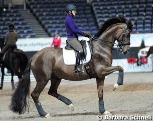 Nadine Capellmann schooling Girasol (by Gribaldi x Landioso)