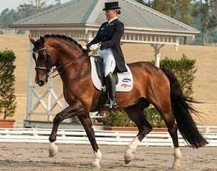 Sheridyn Ashwood and Prestige at the 2013 Australian Dressage Championships :: Photo © Franz Venhaus