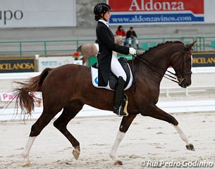 Marta Galan Dalmau and Arundensis at the 2013 CDI Toledo :: Photo © Rui Pedro Godinho