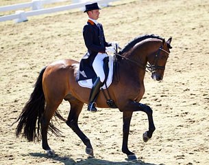 Hans Peter Minderhoud and Romanov at the 2013 CDN Uden :: Photo © Arnd Bronkhorst