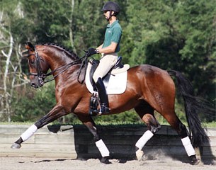 Hilltop Farm's Michael Bragdell on Royal Prince