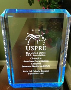 The USPRE Born in America Award