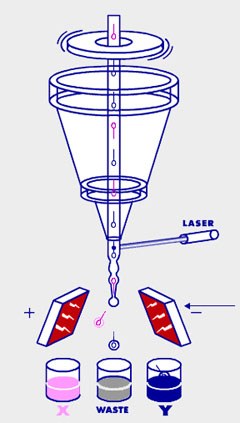 A flow cytometer