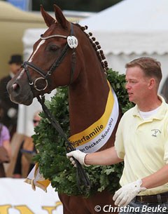 State Premium Mare Lizeth (by Londonderry x Von Velten) won the 2013 Herwart von der Decken prize at the 2013 Hanoverian Elite Mare Show in Verden :: Photo © Christina Beuke