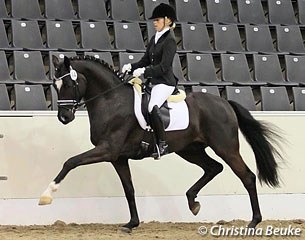 Lena Stegemann on Scuderia (by Sir Donnerhall I x Escudo)