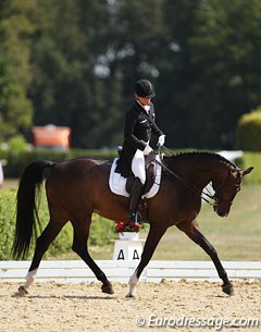 Isabell Werth doing some stretching work with Der Stern at the 2013 CDI Verden :: Photo © Astrid