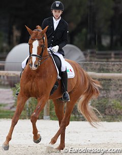 Lucas Alecco Roy and Wisdom at the 2013 CDI Vidauban :: Photo © Astrid Appels