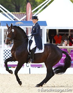 German Bernadette Brune on Spirit of the Age OLD at the 2013 CDIO Vidauban :: Photo © Astrid Appels