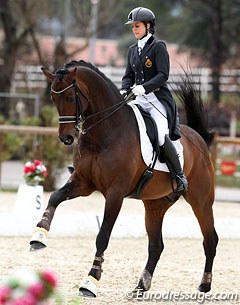 Julie de Deken warming up Lucky Dance at the 2013 CDI Vidauban :: Photo © Astrid Appels