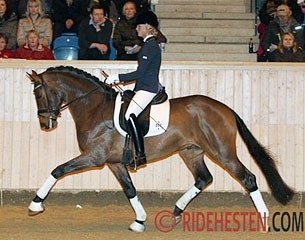 Petersborg Qasanova (by Quaterback x Calypso)  :: Photo © Ridehesten.com