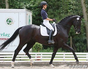 Johanna von Firkcs on Diabolo von Nymphenburg at the 2013 German WCYH Selection Trial in Warendorf :: Photo © LL-foto.de