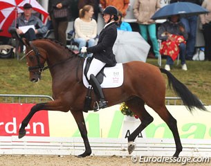 Danish Maria Anita Andersen on Lohmanns Takitta (by Zack x Solos Landtinus) at the 2013 World Young Horse Championships :: Photo © Astrid Appels