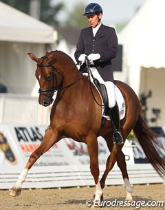 British Grand Prix rider Emile Faurie on the gorgeous British bred Hanoverian Duke Ellington (by Dimaggio x Classiker) who was just not strong enough behind today