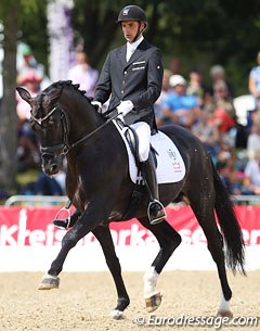 Andreas Helgstrand and Mollegardens Pas Partout at the 2013 World Young Horse Championships :: Photo © Astrid Appels