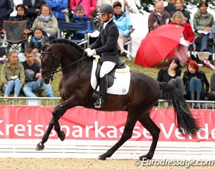 Rodolpho Riskalla on the Brazilian bred Lusitano Dinoco do Drosa