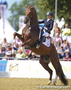 Emmelie Scholtens and Charmeur at the 2013 World Young Horse Championships :: Photo © Astrid Appels