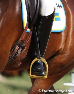 Golden stirrup