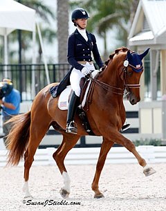 Heather Blitz and Paragon competing in Wellington :: Photo © Sue Stickle