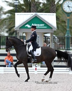 David Marcus and Chrevi's Capital at the 2013 CDI-W Wellington :: Photo © Sue Stickle