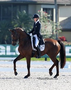 Tuny Page and Woodstock at the 2013 CDN Wellington :: Photo © Sue Stickle