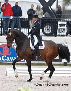 Steffen Peters and Legolas win the CDI5* Wellington Grand Prix :: Photo © Sue Stickle