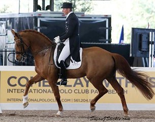 Patrik Kittel and Scandic in the WDM Grand Prix at the 2013 CDI West Palm Beach :: Photo © Sue Stickle