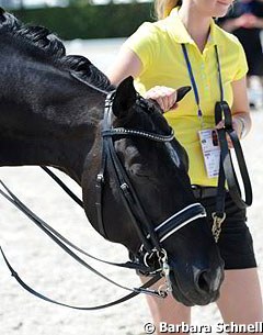 For the Grand Prix Special prize giving ceremony Rath rode a "fake" Totilas with similar white markings literally painted on a black horse's face!