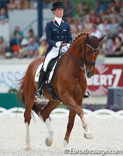 Adelinde Cornelissen on Parzival