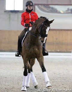 Celine König on the Belgian warmblood Saturnus
